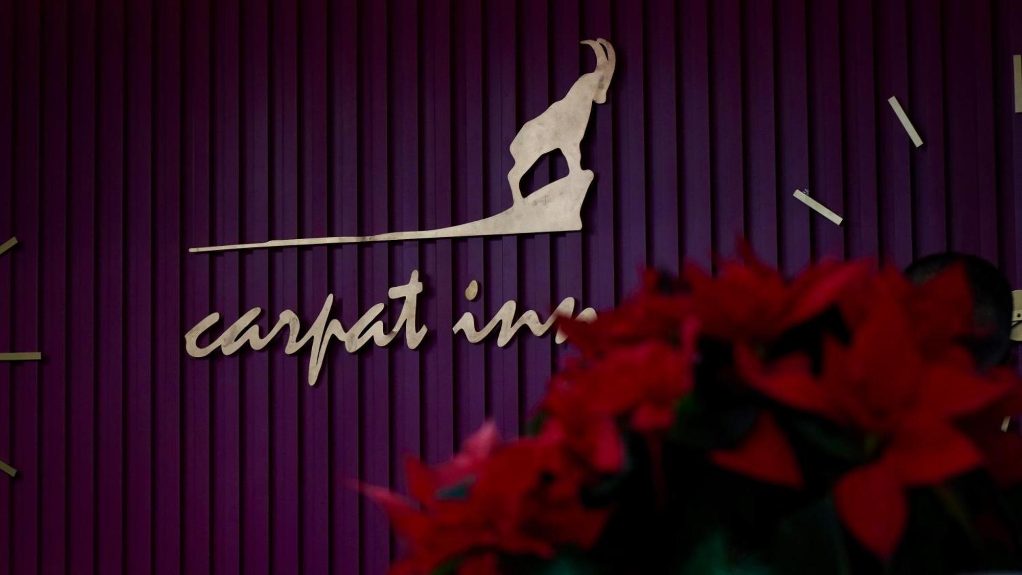 Hotel Carpat Inn Azuga Kültér fotó
